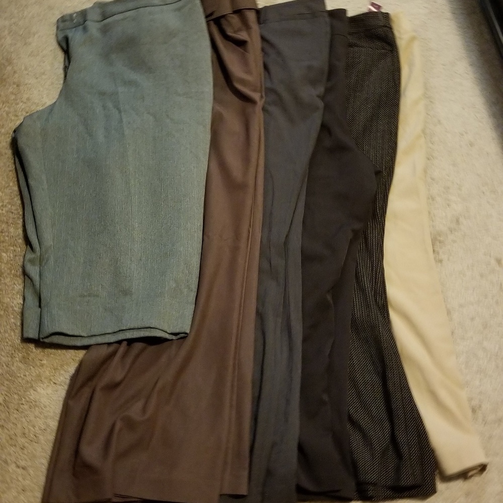 Six Pairs of Slack Bundle!
